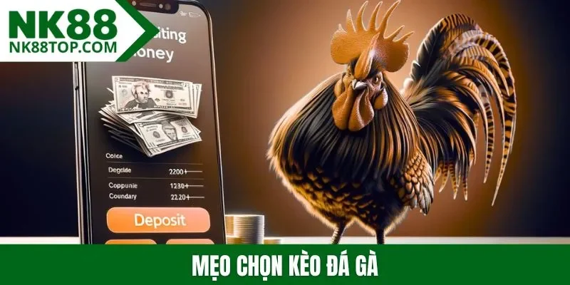 Mẹo chọn kèo đá gà